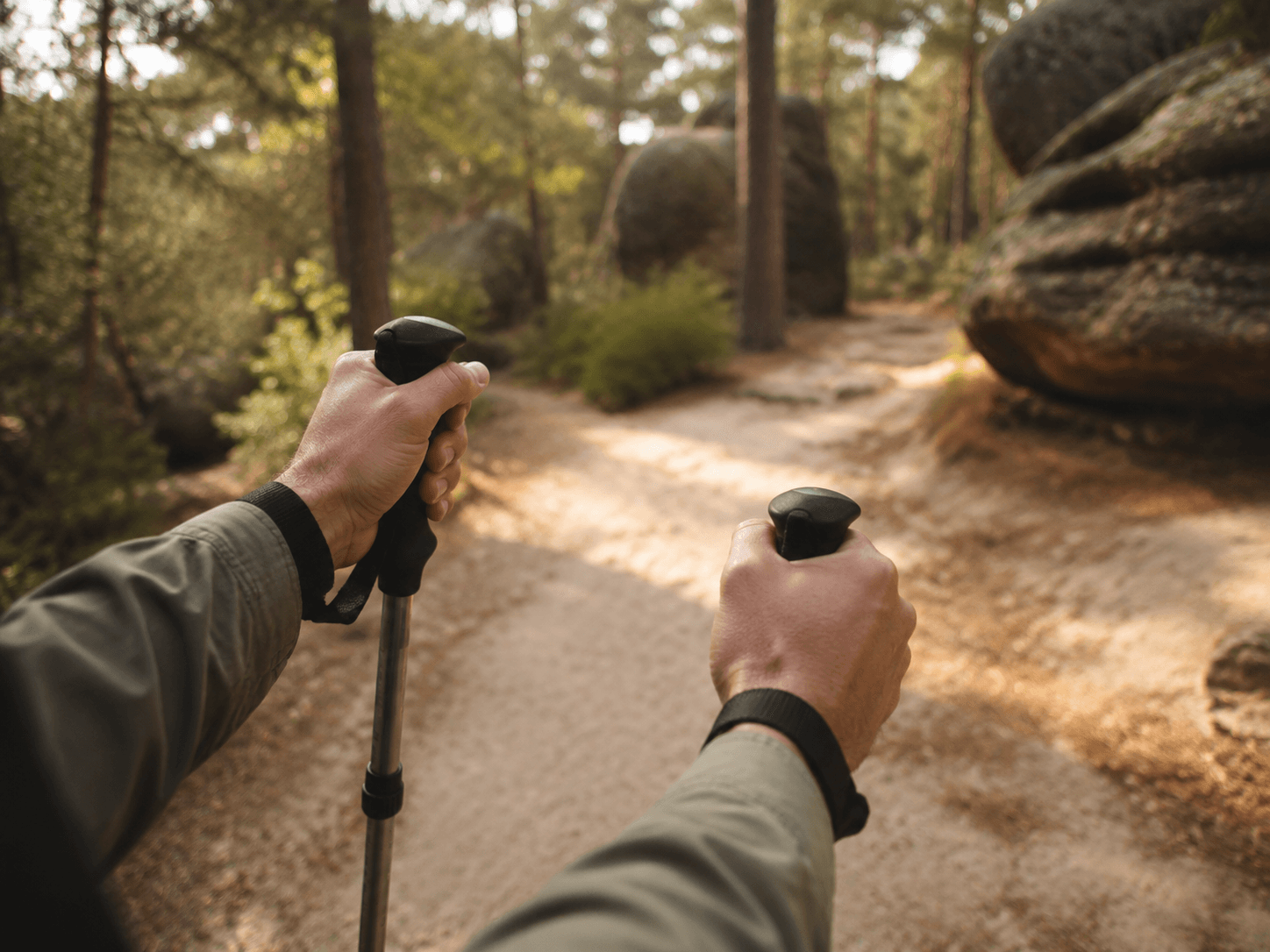 Bâtons de marche pliables en forêt de Fontainebleau